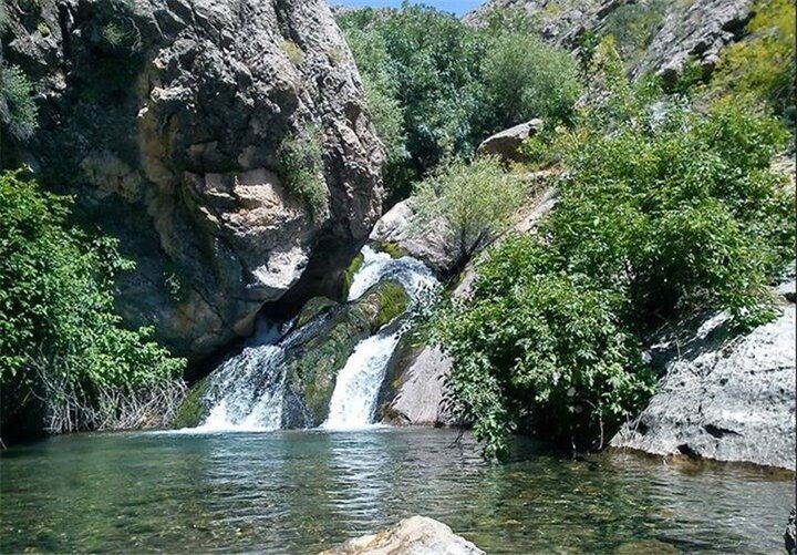 آریا جوان