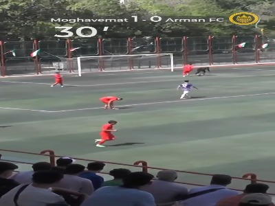 عاقبت کری زودهنگام!