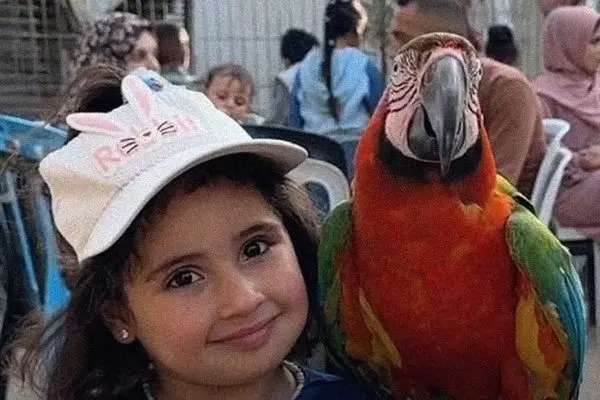 باغ‌وحش آوارگان در غزه