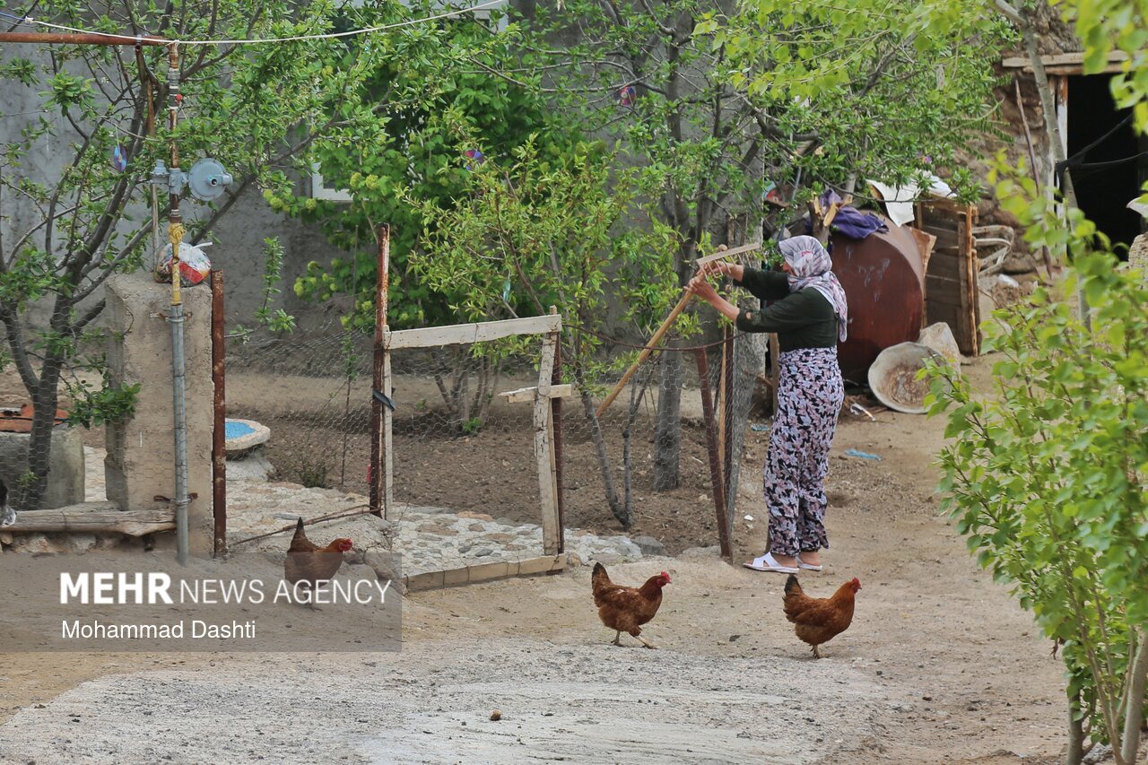 بوم‌گردی؛ از ایده گردشگری تا راهبرد تمدنی برای احیای روستا