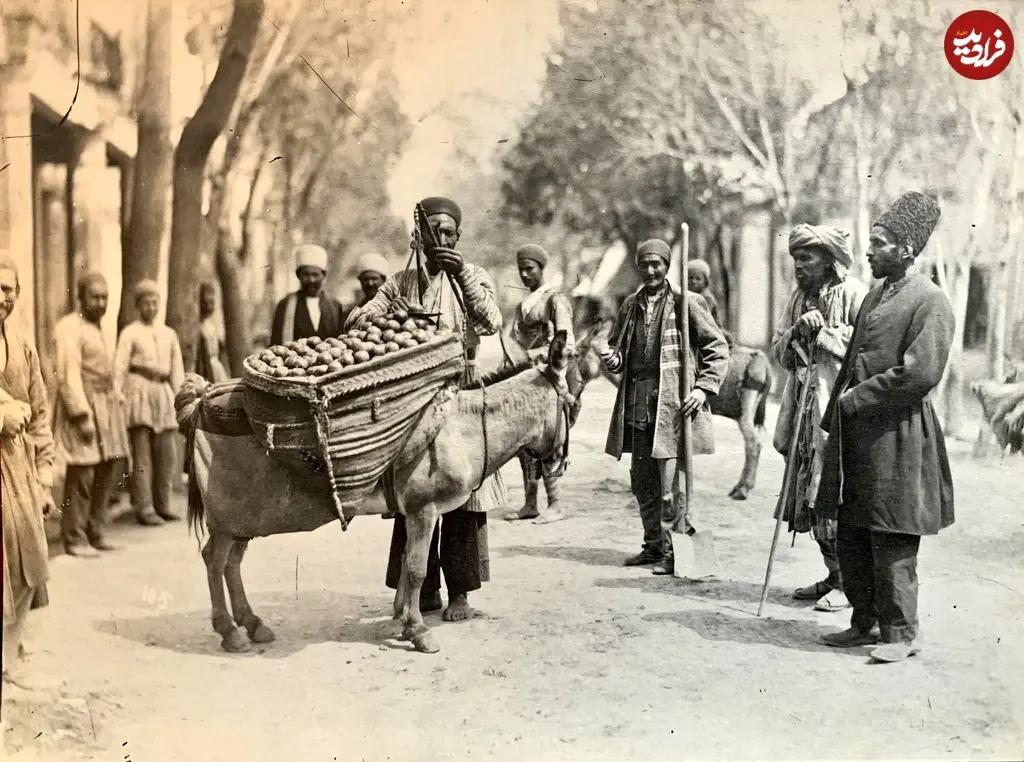 آریا جوان
