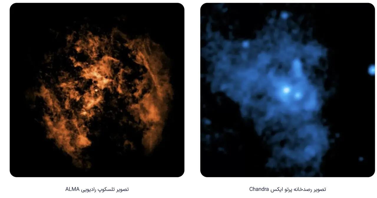آریا جوان