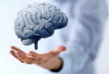 ۱۰ عادت مهم برای سلامت مغز را بشناسید/ اینفوگرافیک