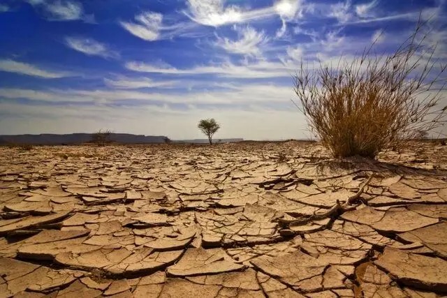 ۱۵ تریلیون دلار خسارت سالانه بیابان‌زایی در جهان