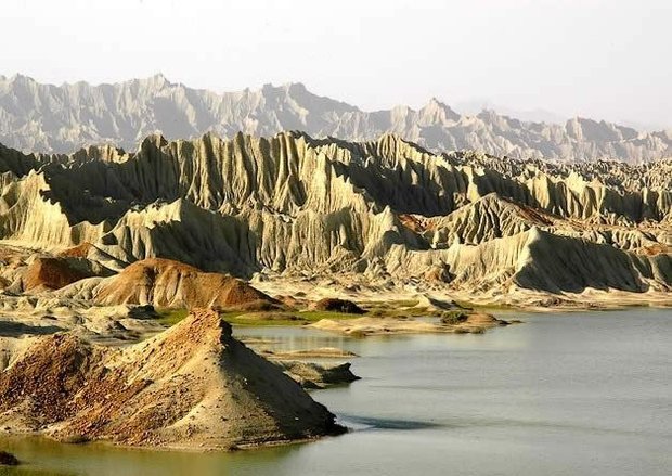 آریا جوان