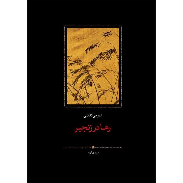 آریا جوان