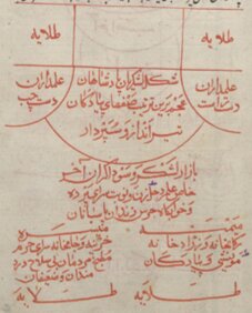 آریا جوان