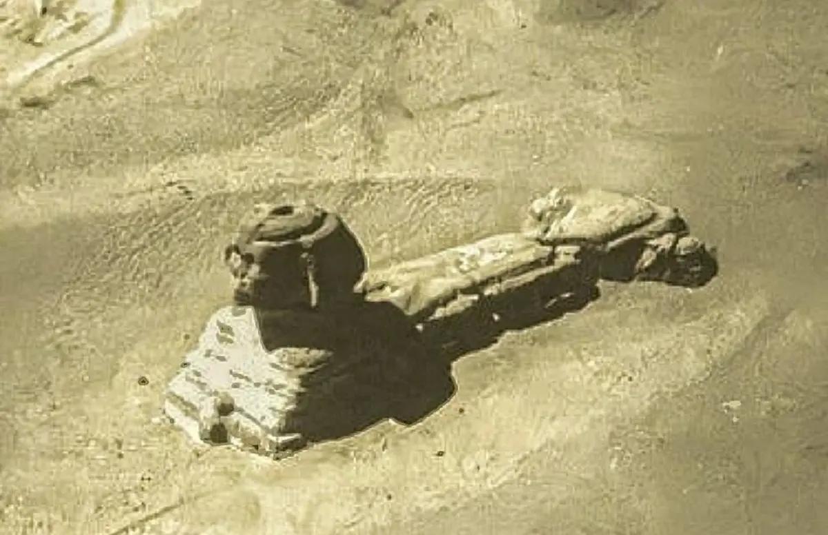 آریا جوان