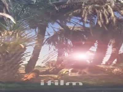 روا نیست از قافله نینوا جا بمانی