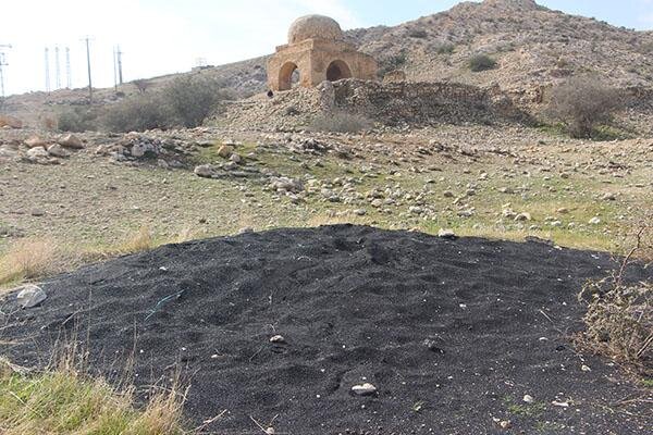آریا جوان