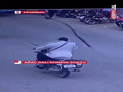 سقوط شاخه خشک درخت بر سر موتورسوار