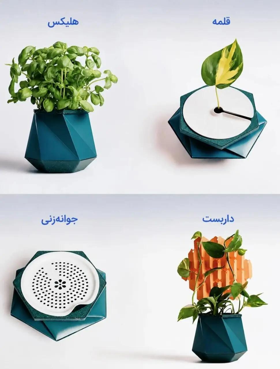 آریا جوان