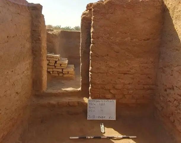 آریا جوان