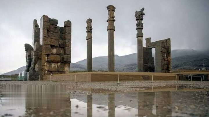 آریا جوان