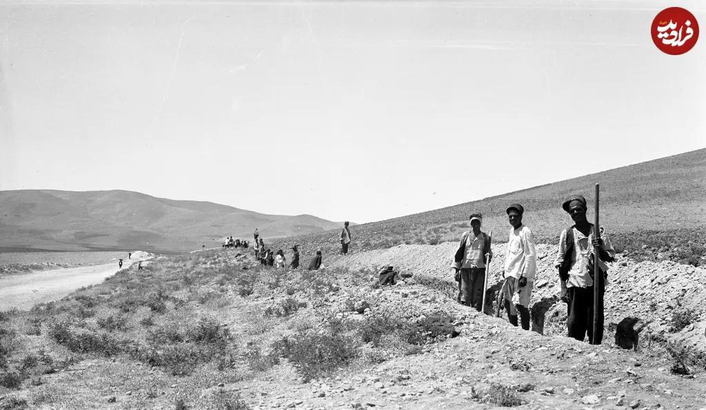 آریا جوان