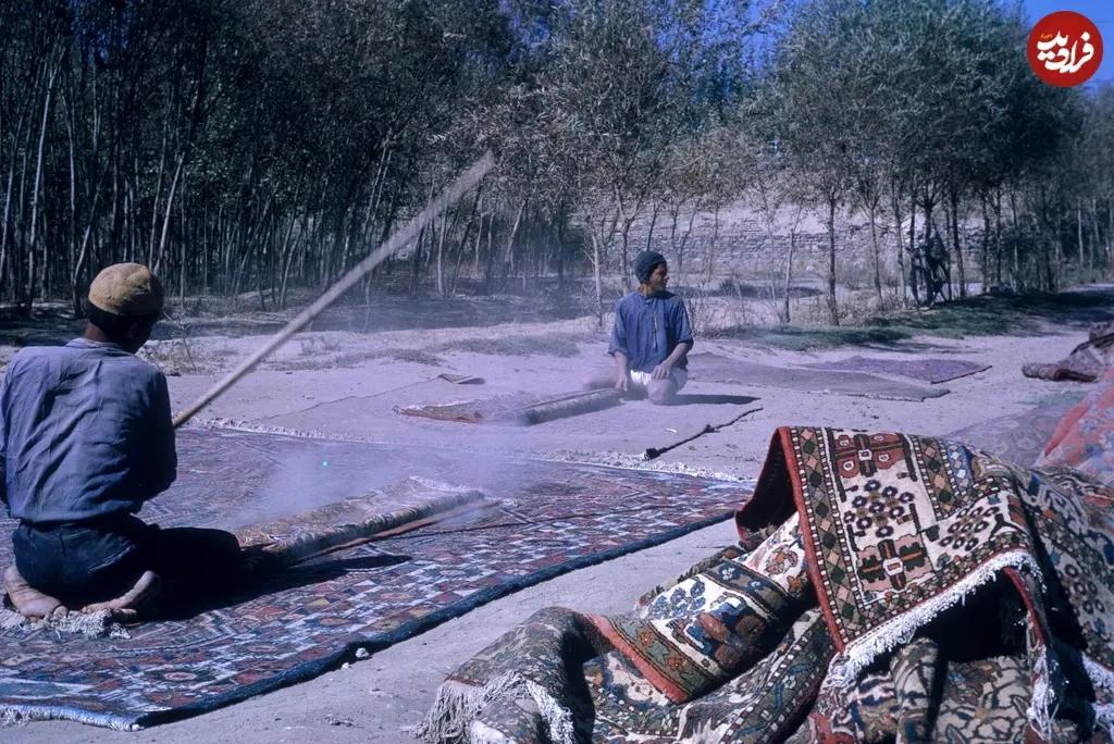 آریا جوان