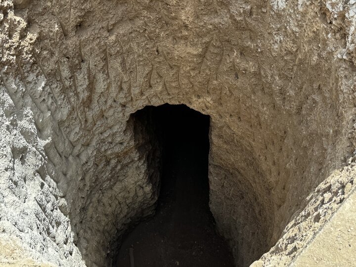 آریا جوان
