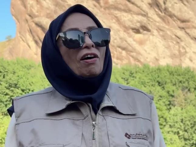 آریا جوان