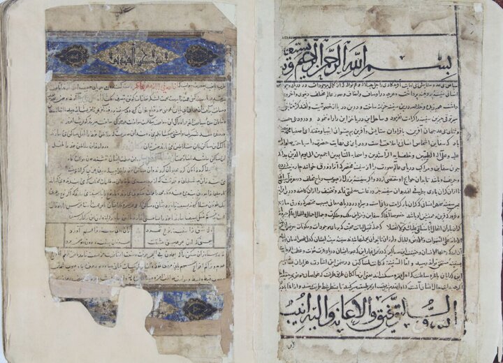 آریا جوان