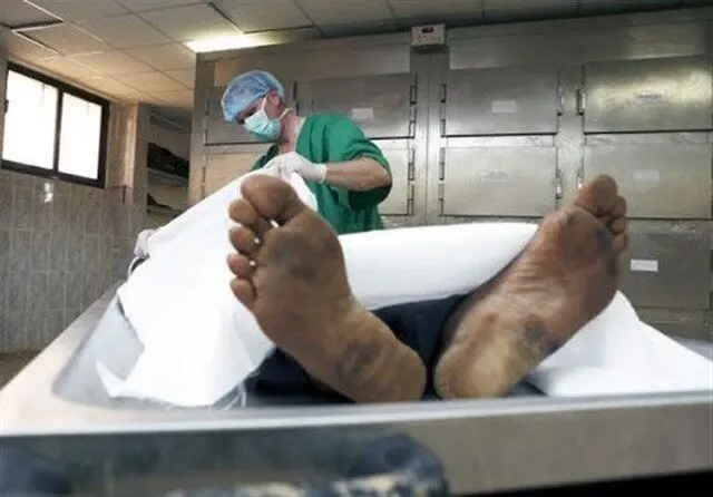 ۲۱ فوتی زائر در تصادفات طرح اربعین/ مجموع ترددهای ثبت‌شده زائران در مرزهای زمینی کشور به مقصد عتبات عالیات به بیش از ۳ میلیون و ۲۷۰ هزار نفر رسیده است