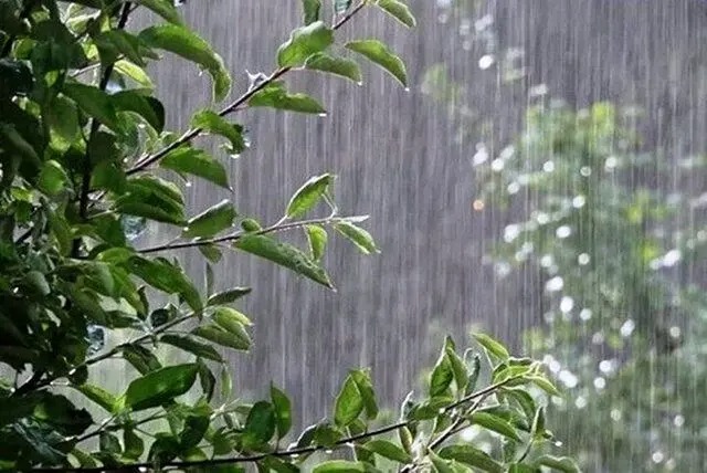 هشدار هواشناسی؛ رگبار و رعد و برق در ۱۱ استان‌
