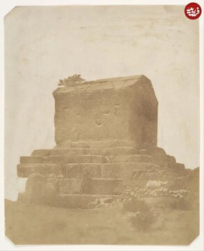 آریا جوان
