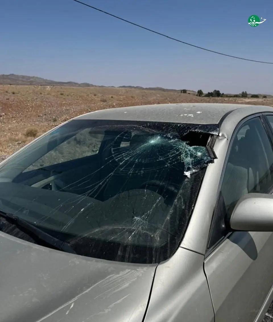 آریا جوان
