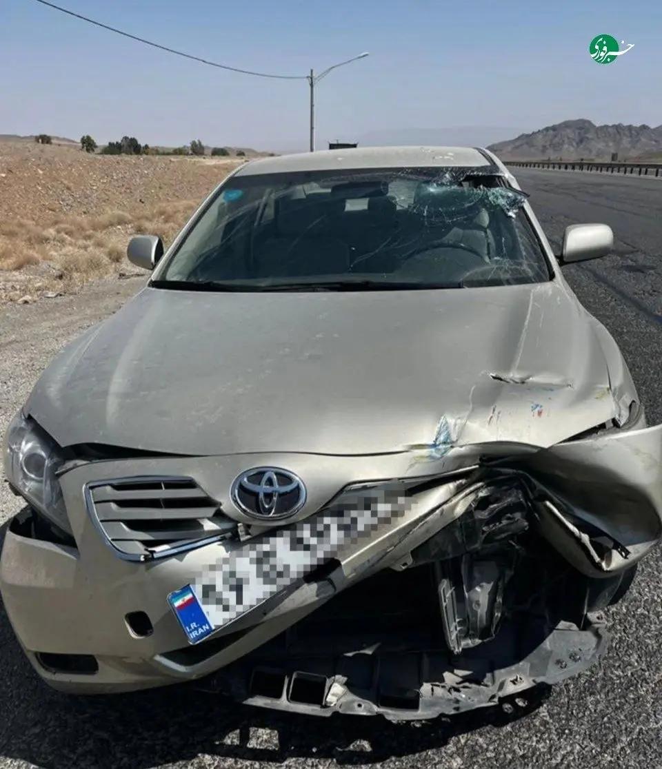 آریا جوان