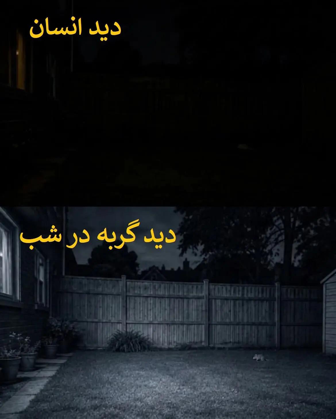 آریا جوان