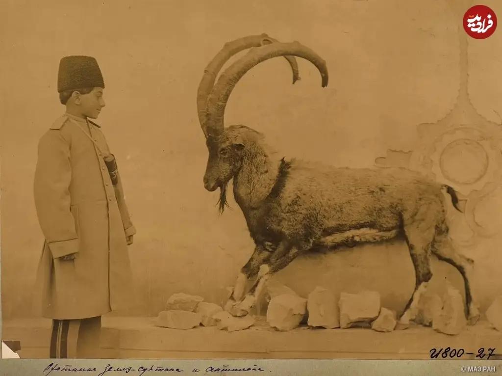 آریا جوان
