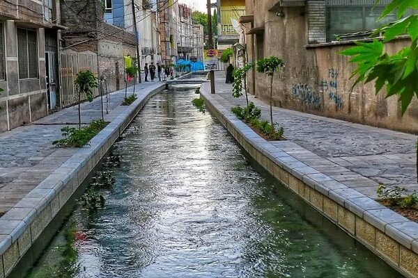 آریا جوان