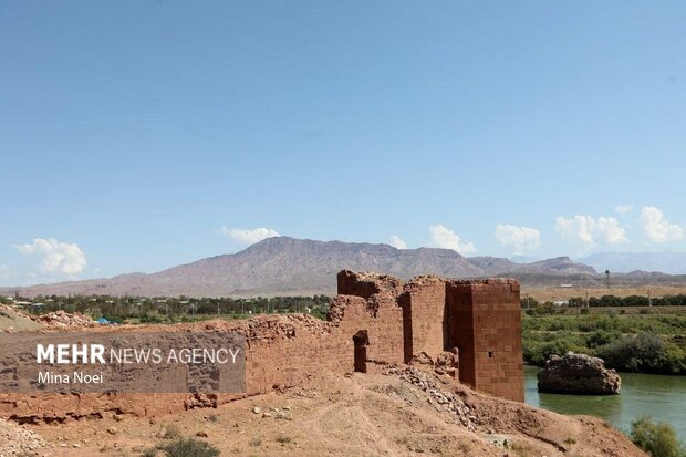 آریا جوان