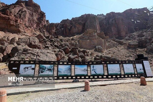 آریا جوان