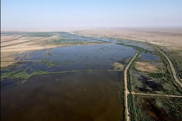 امید به احیای دوباره هورالعظیم با بهبود بارش‌ها