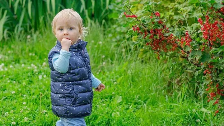 چرا موهای روشن کودکان، با افزایش سن تیره می‌شود؟