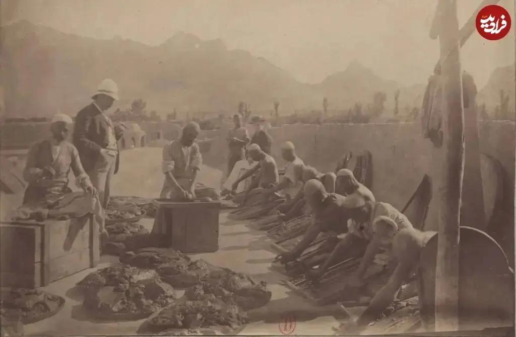 آریا جوان