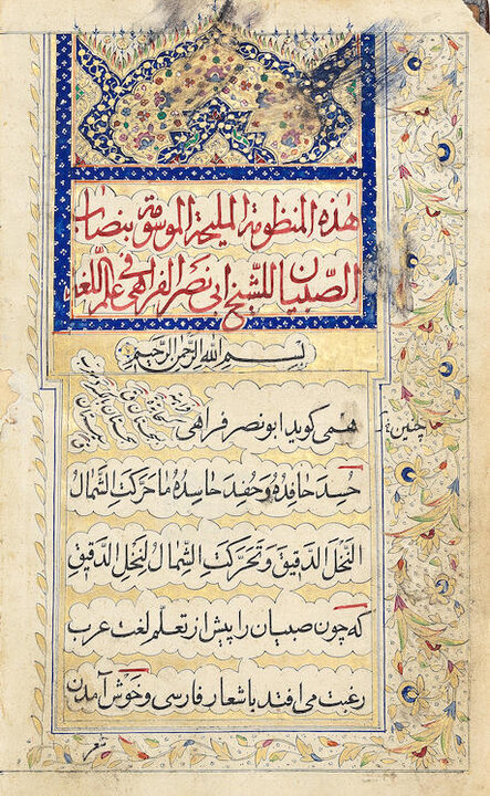 آریا جوان