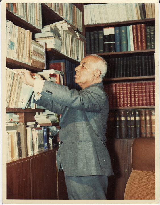آریا جوان