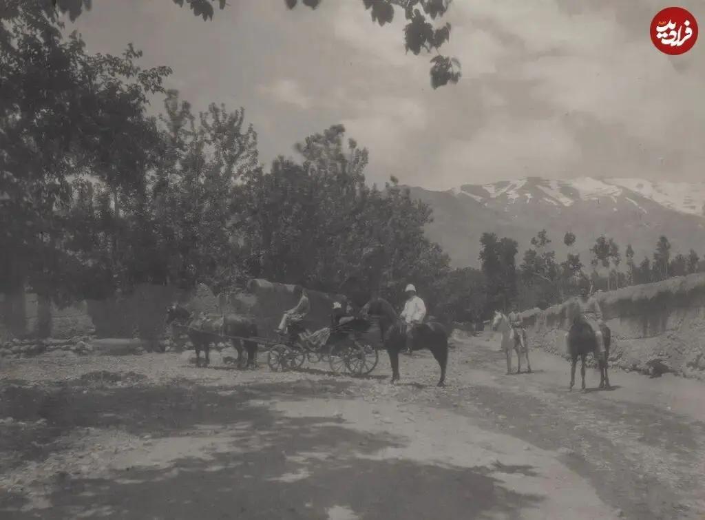 آریا جوان