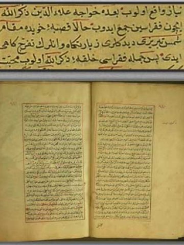 آریا جوان