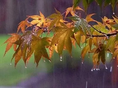 کاهش دما در استان‌های ساحلی خزر و اردبیل