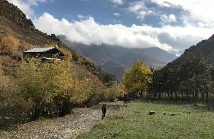 آریا جوان
