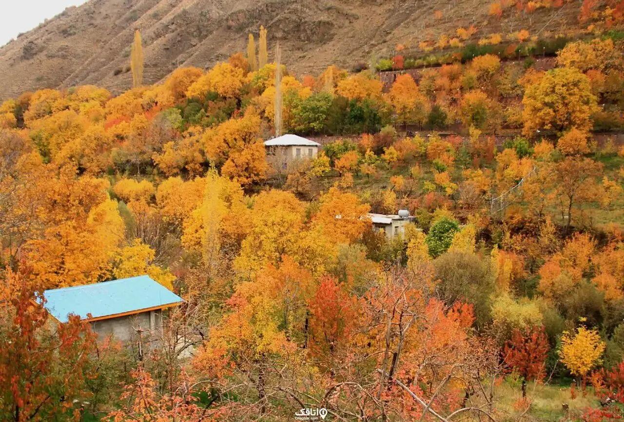 آریا جوان