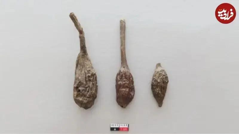 آریا جوان