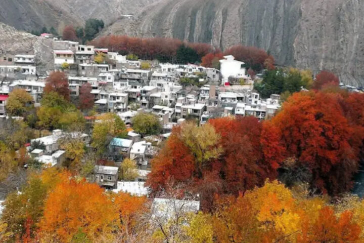 آریا جوان
