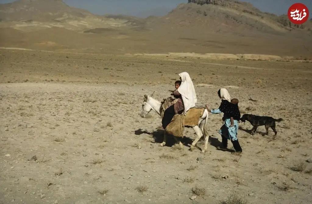 آریا جوان