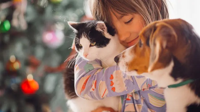 چرا به حیوانات خانگی دلبستگی پیدا می کنیم؟